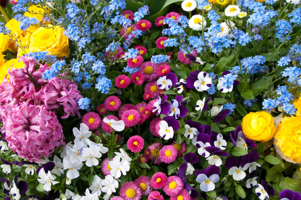 Spring Flowers jigsaw puzzle in Flowers puzzles on TheJigsawPuzzles.com