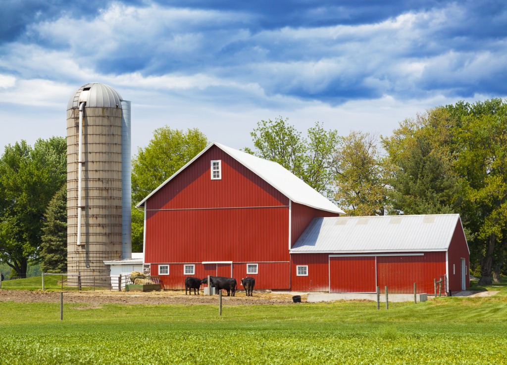 American Farmland jigsaw puzzle in Puzzle of the Day puzzles on TheJigsawPuzzles.com