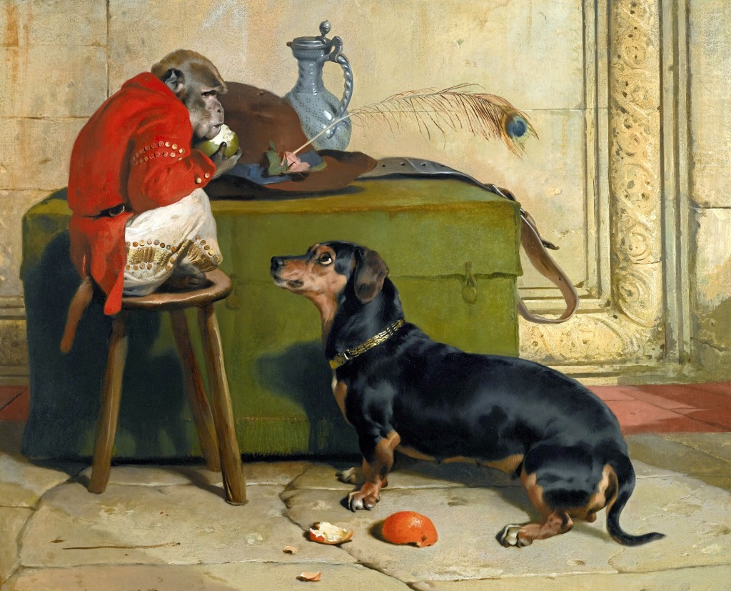 Ziva, a Badger Dog jigsaw puzzle in Piece of Art puzzles on TheJigsawPuzzles.com