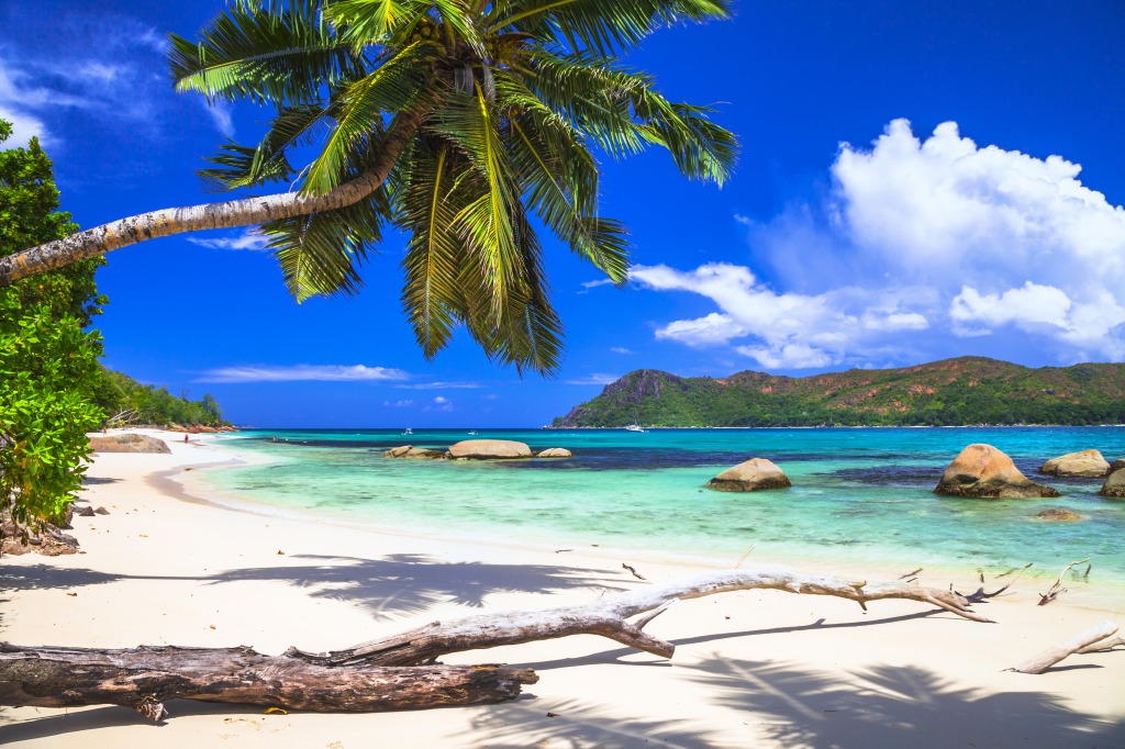 Pure Tropics jigsaw puzzle in Great Sightings puzzles on TheJigsawPuzzles.com