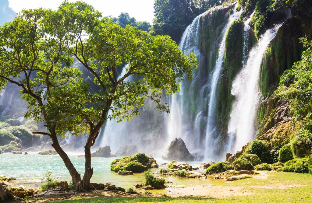 Detian Waterfall, Ban Gioc, Vietnam jigsaw puzzle in Waterfalls puzzles on TheJigsawPuzzles.com