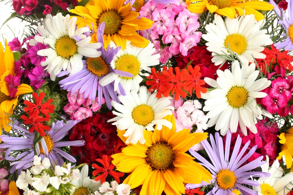 Beautiful Bouquet of Bright Wildflowers jigsaw puzzle in Flowers puzzles on TheJigsawPuzzles.com