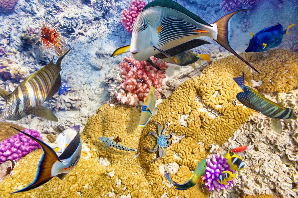 Wonderful Underwater World jigsaw puzzle in Under the Sea puzzles on TheJigsawPuzzles.com