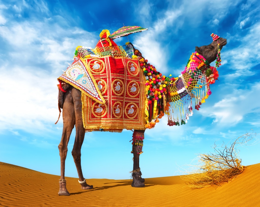 Colorful Camel jigsaw puzzle in Animals puzzles on TheJigsawPuzzles.com