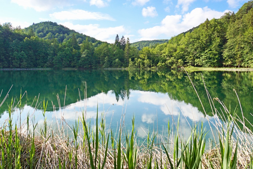 Plitvice Lakes NP, Croatia jigsaw puzzle in Great Sightings puzzles on TheJigsawPuzzles.com