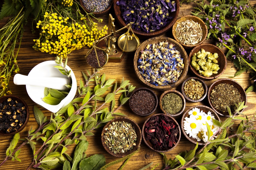 Herbal Medicine jigsaw puzzle in Puzzle of the Day puzzles on TheJigsawPuzzles.com