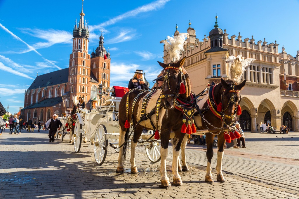 Horse Carriages in Krakow, Poland jigsaw puzzle in Puzzle of the Day puzzles on TheJigsawPuzzles.com