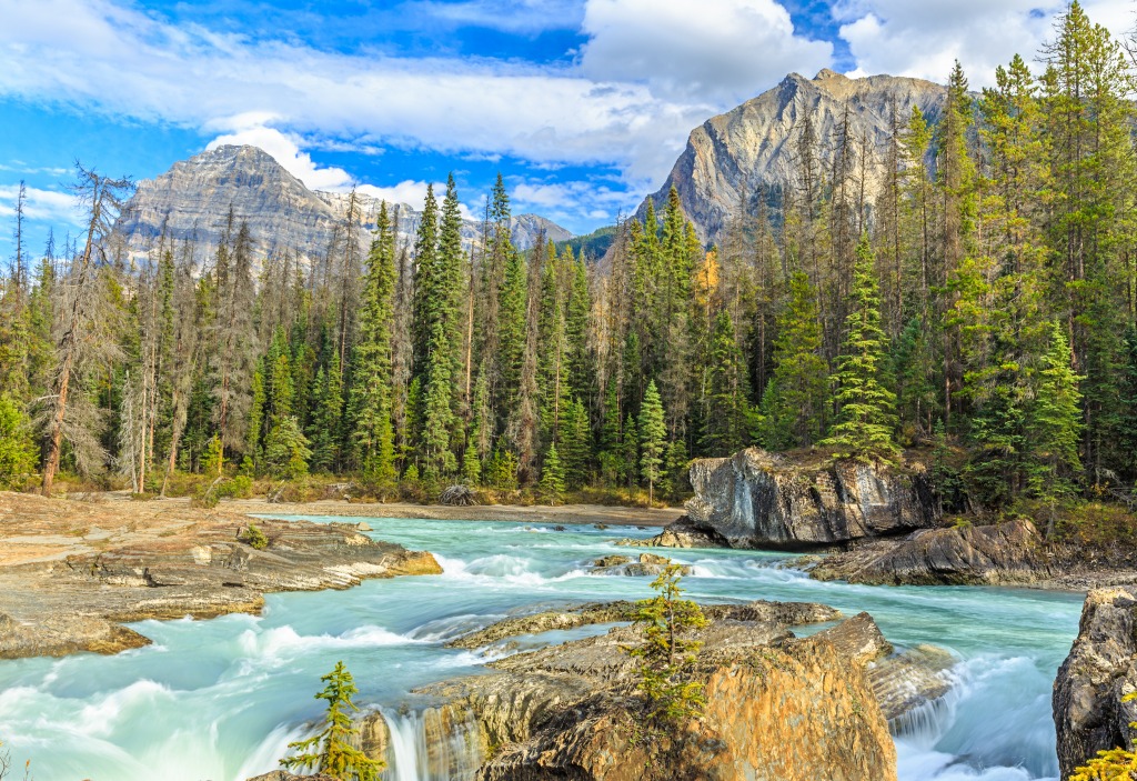 Yoho National Park, BC, Canada jigsaw puzzle in Waterfalls puzzles on TheJigsawPuzzles.com