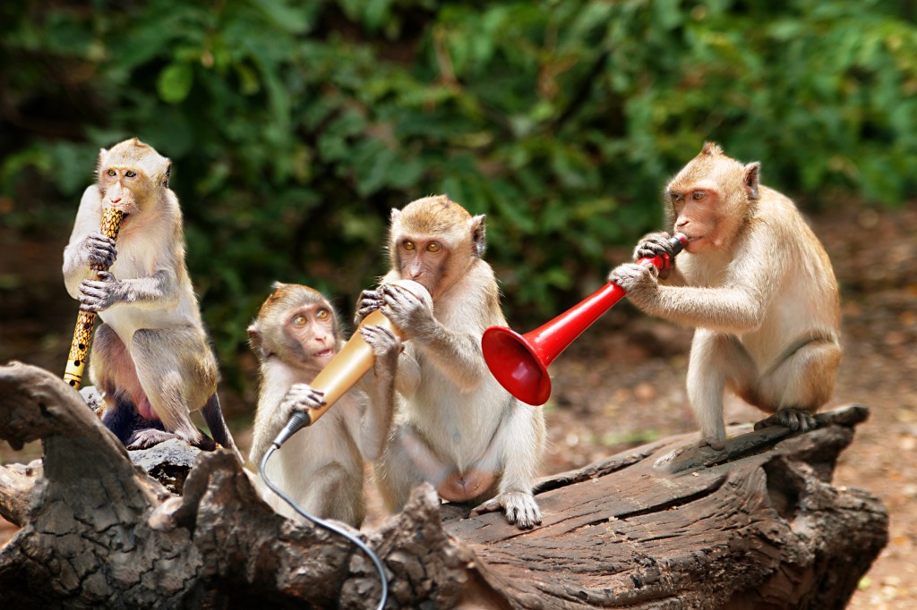 Monkeys in Thailand jigsaw puzzle in Animals puzzles on TheJigsawPuzzles.com