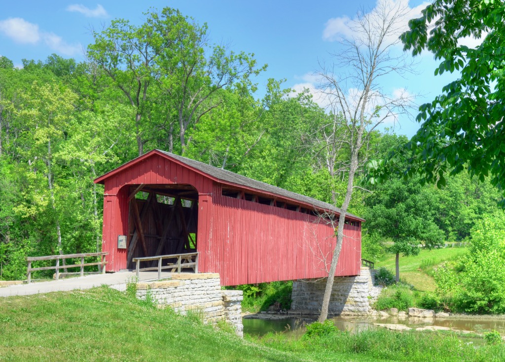 Cataract Falls Covered Bridge, Indiana jigsaw puzzle in Bridges puzzles on TheJigsawPuzzles.com