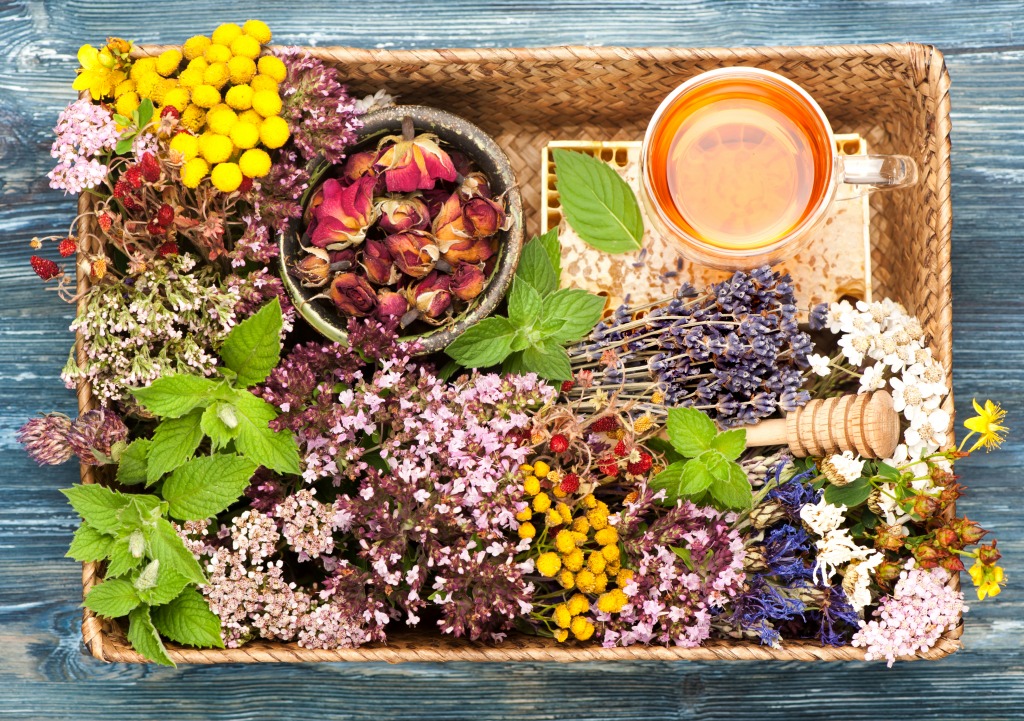 Herbal Medicine jigsaw puzzle in Flowers puzzles on TheJigsawPuzzles.com