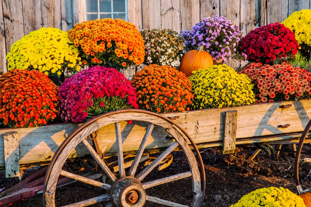 Vintage Wagon Flowers jigsaw puzzle in Flowers puzzles on TheJigsawPuzzles.com