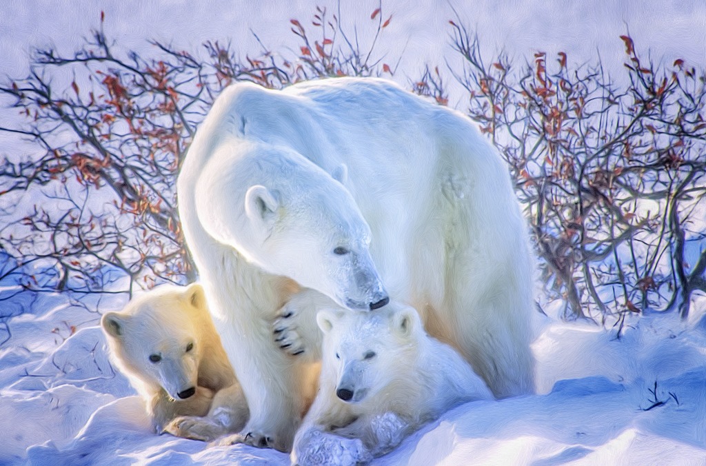 Polar Bear With Cubs jigsaw puzzle in Puzzle of the Day puzzles on TheJigsawPuzzles.com
