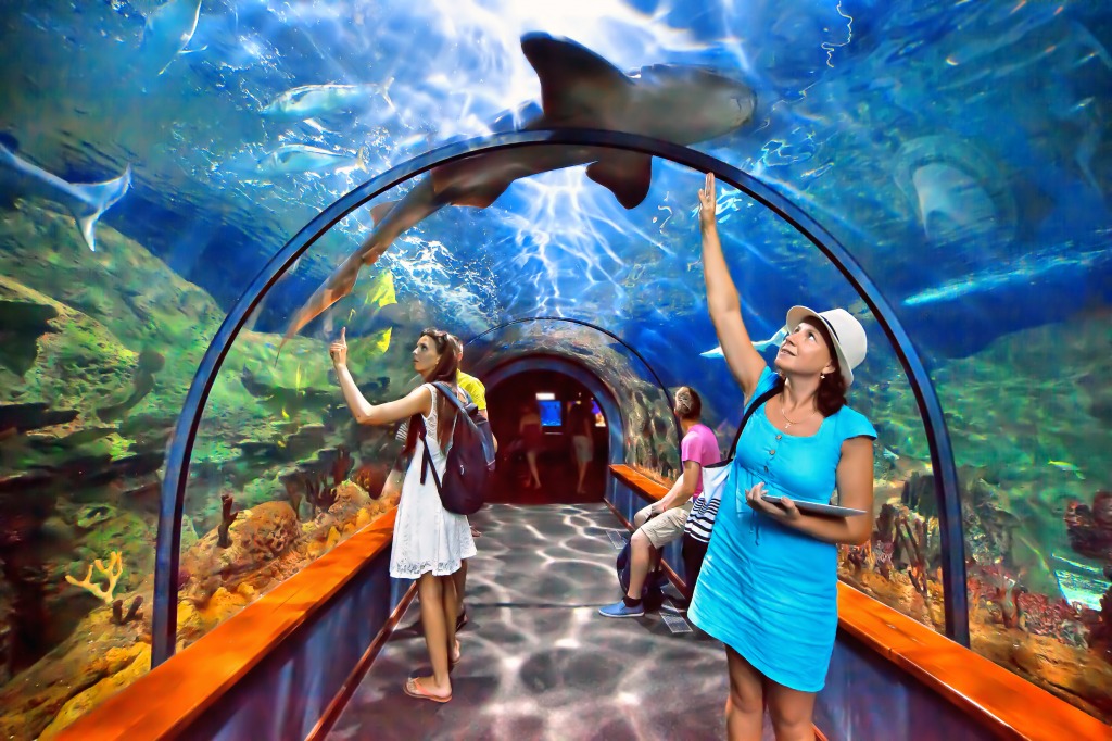 Loro Parque Aquarium, Tenerife, Spain jigsaw puzzle in People puzzles on TheJigsawPuzzles.com