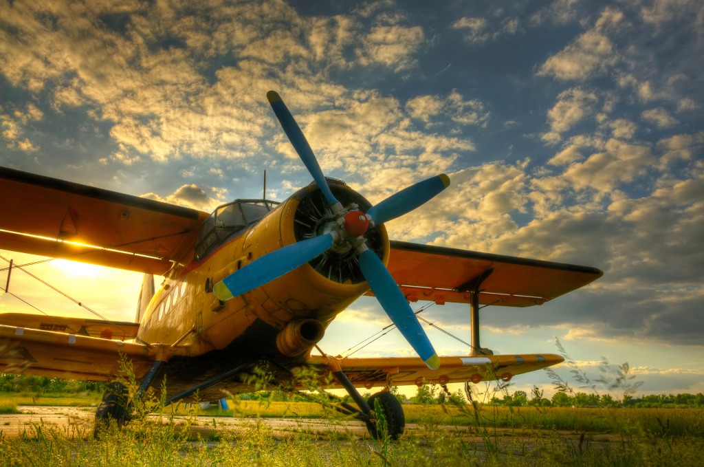 Old Airplane at Sunset jigsaw puzzle in Aviation puzzles on TheJigsawPuzzles.com