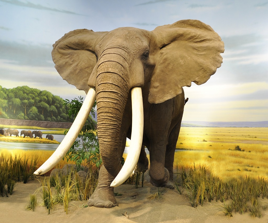 African Elephant jigsaw puzzle in Animals puzzles on TheJigsawPuzzles.com