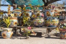 Old West Souvenir Shop, Cave Creek AZ