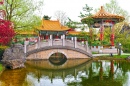 Chinese Garden