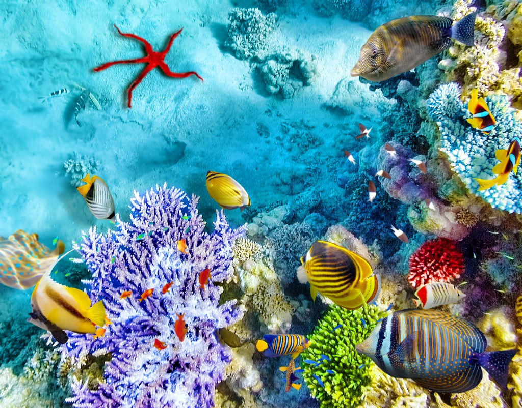 Corals and Tropical Fish jigsaw puzzle in Under the Sea puzzles on TheJigsawPuzzles.com