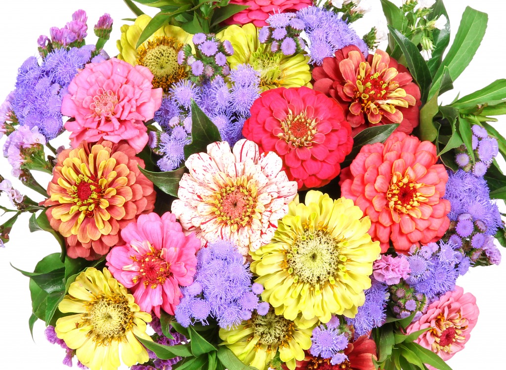 Zinnia and Dahlia Bouquet jigsaw puzzle in Flowers puzzles on TheJigsawPuzzles.com