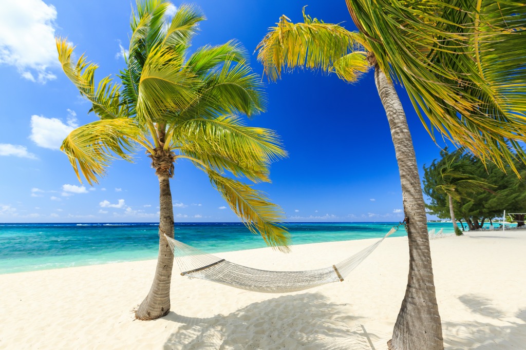 7 Mile Beach, Grand Cayman jigsaw puzzle in Great Sightings puzzles on TheJigsawPuzzles.com