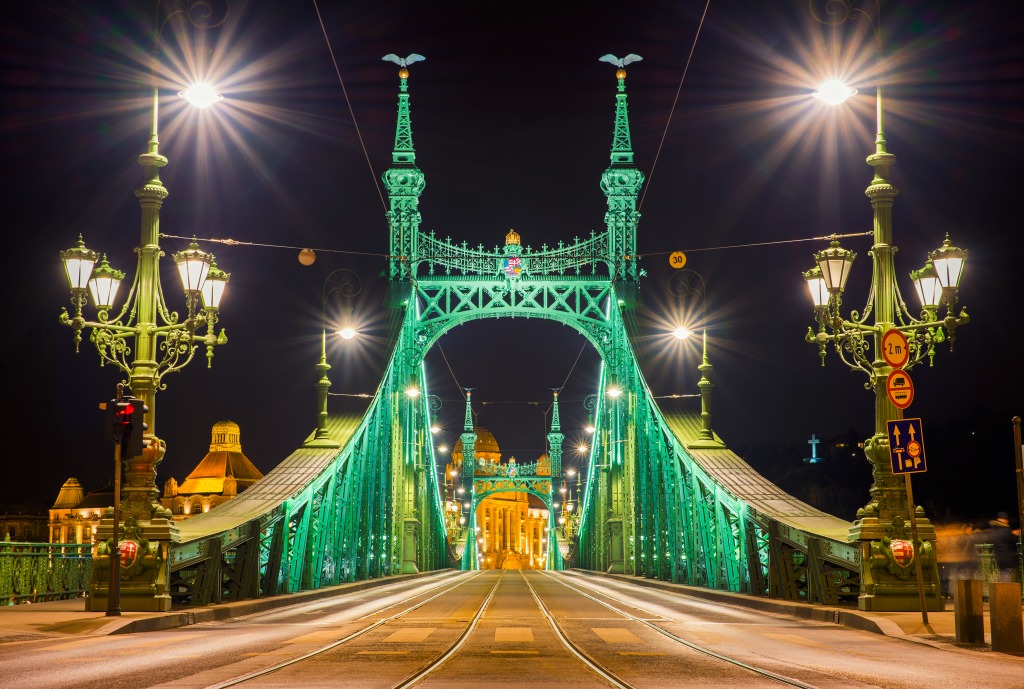 Liberty Bridge in Budapest at Night jigsaw puzzle in Bridges puzzles on TheJigsawPuzzles.com