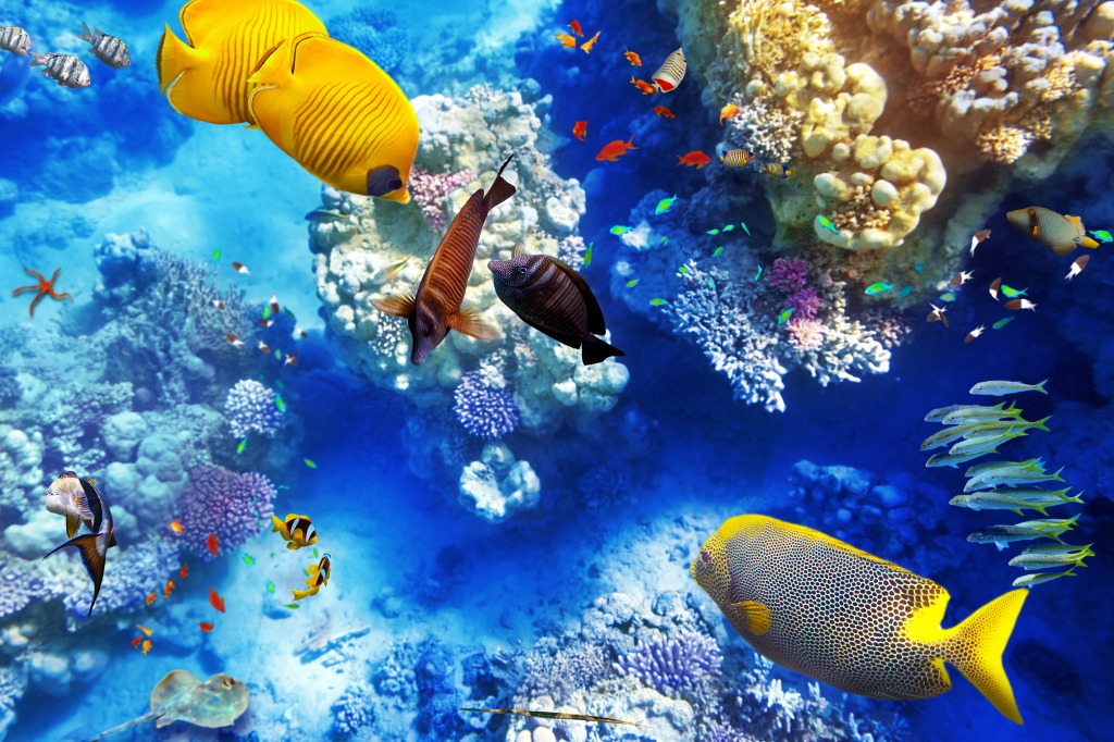 Corals and Tropical Fish jigsaw puzzle in Under the Sea puzzles on TheJigsawPuzzles.com