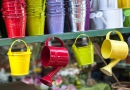 At the Flower Market In Paris