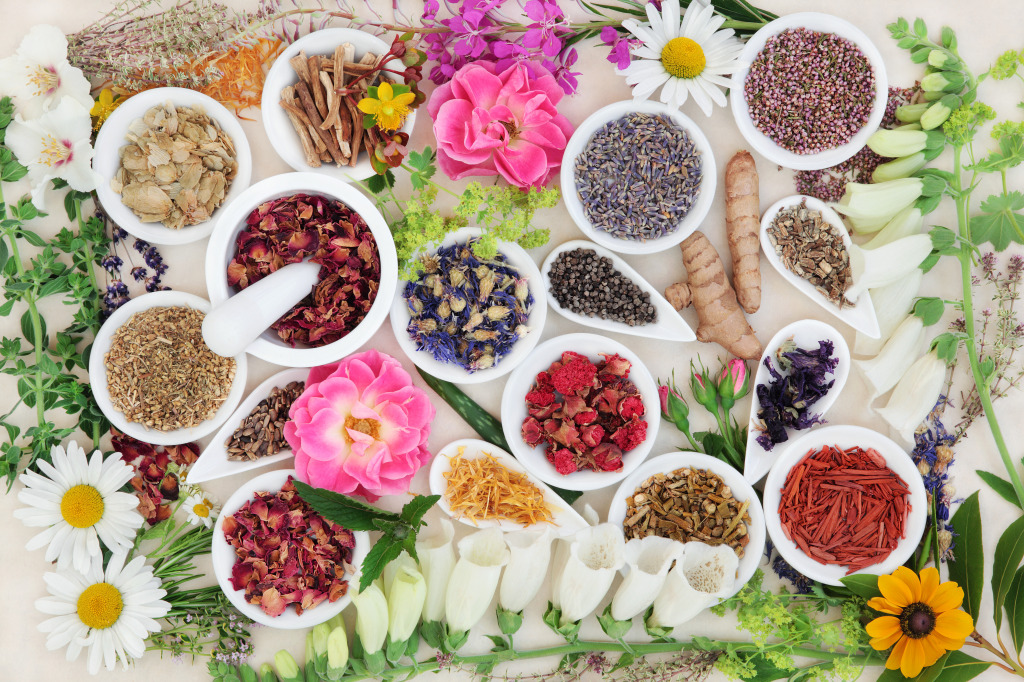 Flower and Herb Selection jigsaw puzzle in Flowers puzzles on TheJigsawPuzzles.com