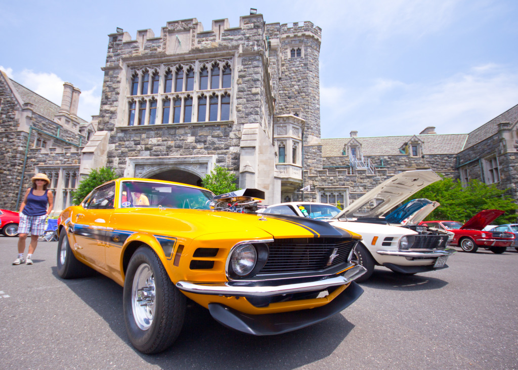 Mustangs on the Beach Auto Show jigsaw puzzle in Cars & Bikes puzzles on TheJigsawPuzzles.com