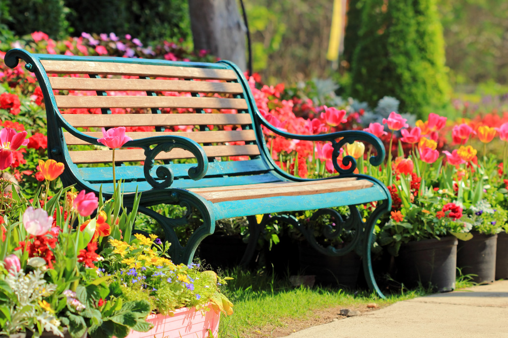 Vintage Bench in Tulip Garden jigsaw puzzle in Puzzle of the Day puzzles on TheJigsawPuzzles.com