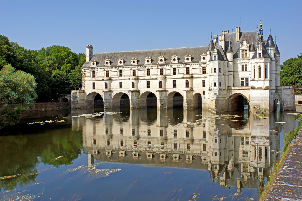 Château de Chenonceau, France jigsaw puzzle in Castles puzzles on TheJigsawPuzzles.com