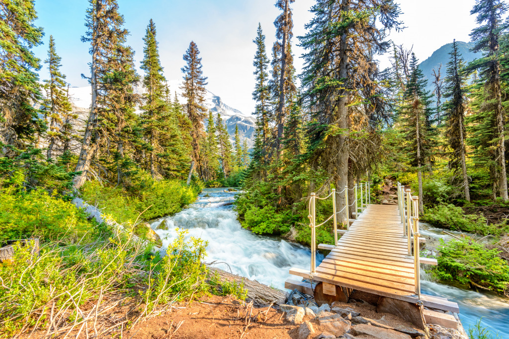 Upper Joffre Lake Trail in BC jigsaw puzzle in Waterfalls puzzles on TheJigsawPuzzles.com