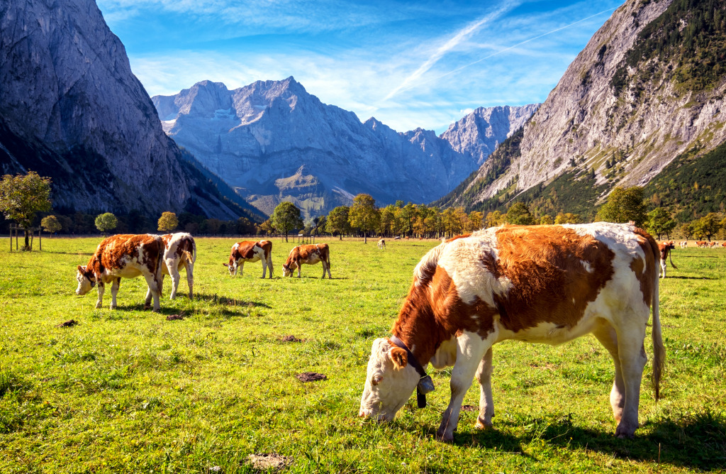 Karwendel Mountains In Austria jigsaw puzzle in Puzzle of the Day puzzles on TheJigsawPuzzles.com