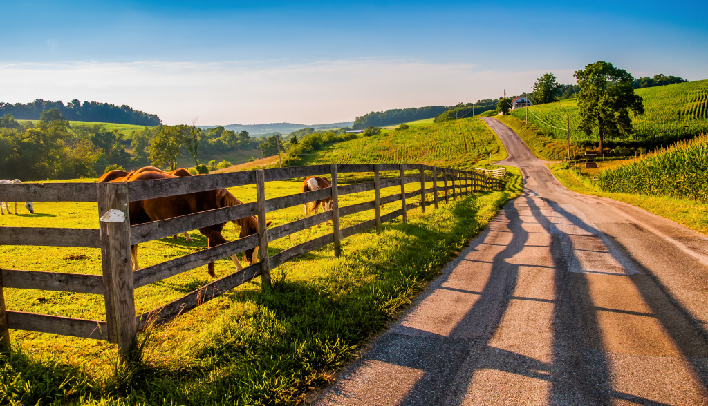 Rural Backroad in York County, PA jigsaw puzzle in Puzzle of the Day puzzles on TheJigsawPuzzles.com