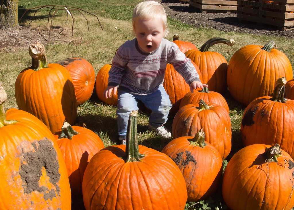 Amy among the Pumpkins jigsaw puzzle in Halloween puzzles on TheJigsawPuzzles.com