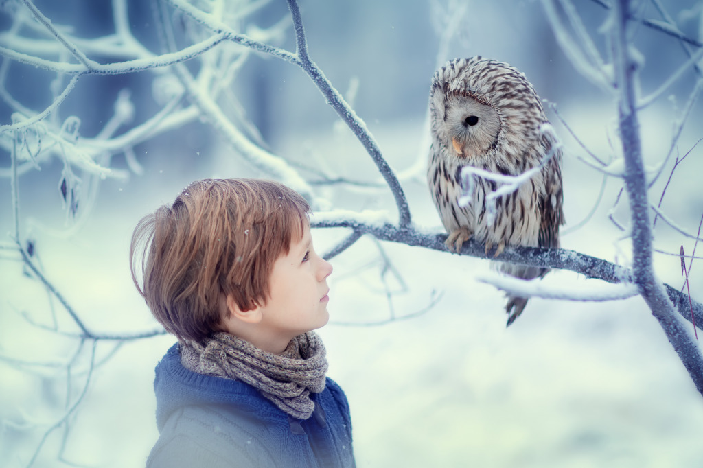 A Boy and an Owl jigsaw puzzle in Puzzle of the Day puzzles on TheJigsawPuzzles.com
