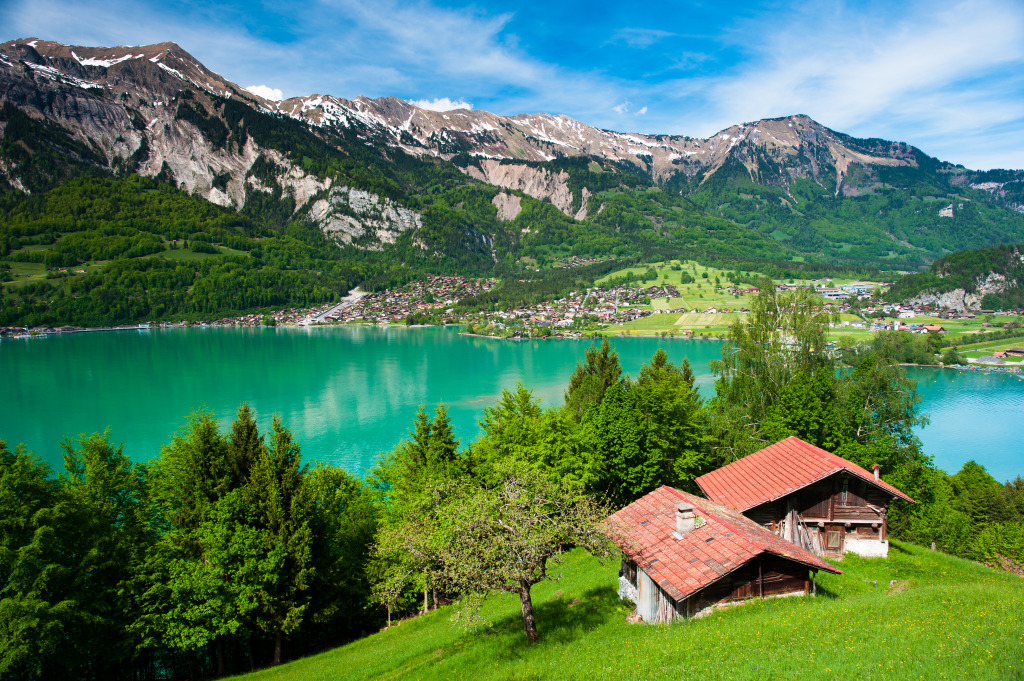 Lake Brienz, Switzerland jigsaw puzzle in Great Sightings puzzles on TheJigsawPuzzles.com