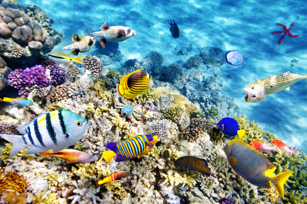 Wonderful Underwater World jigsaw puzzle in Under the Sea puzzles on TheJigsawPuzzles.com