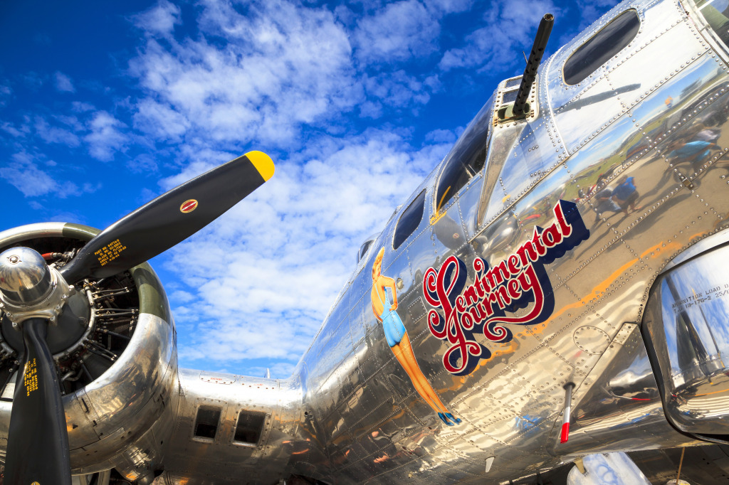 Sentimental Journey jigsaw puzzle in Aviation puzzles on TheJigsawPuzzles.com