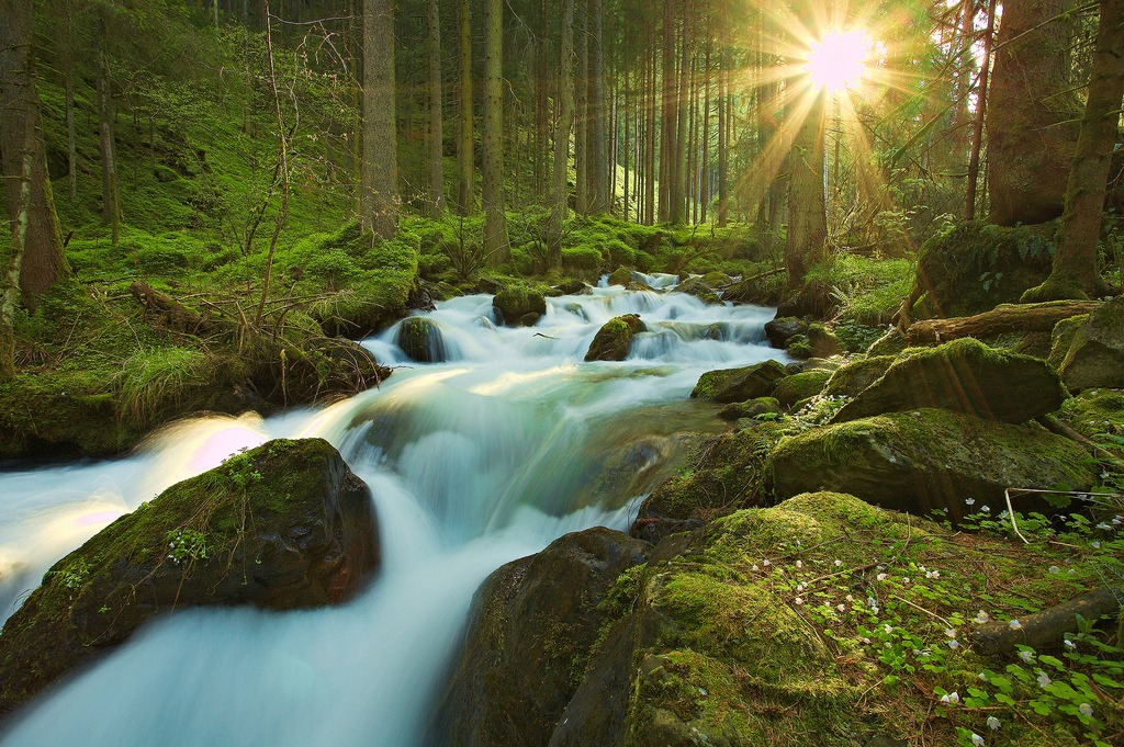 Stream of Light, Stream of Water jigsaw puzzle in Great Sightings puzzles on TheJigsawPuzzles.com