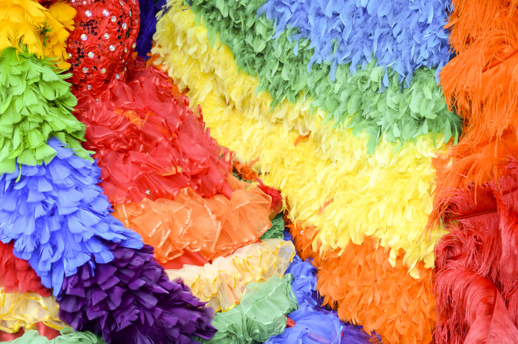 Colorful Ruffles jigsaw puzzle in Macro puzzles on TheJigsawPuzzles.com