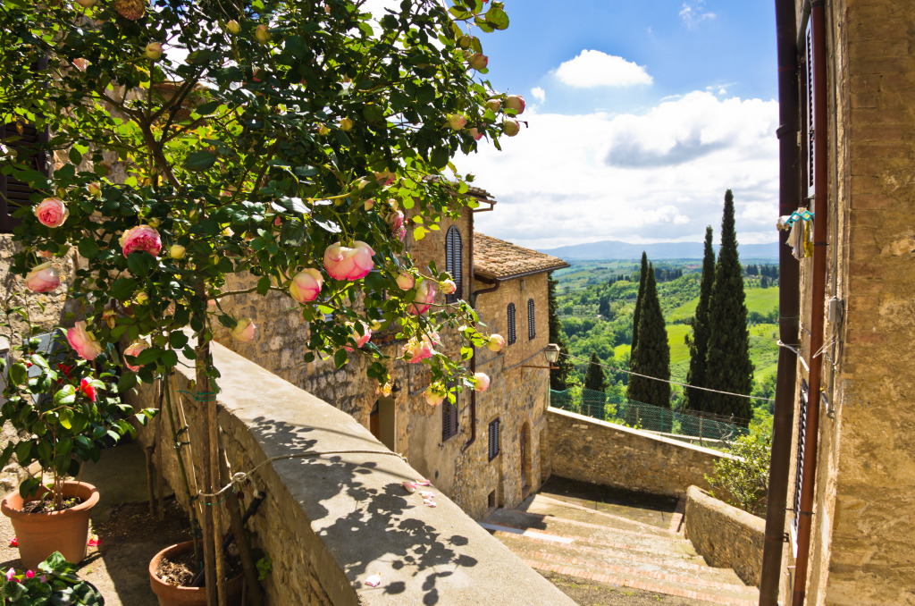 San Gimignano, Tuscany, Italy jigsaw puzzle in Great Sightings puzzles on TheJigsawPuzzles.com