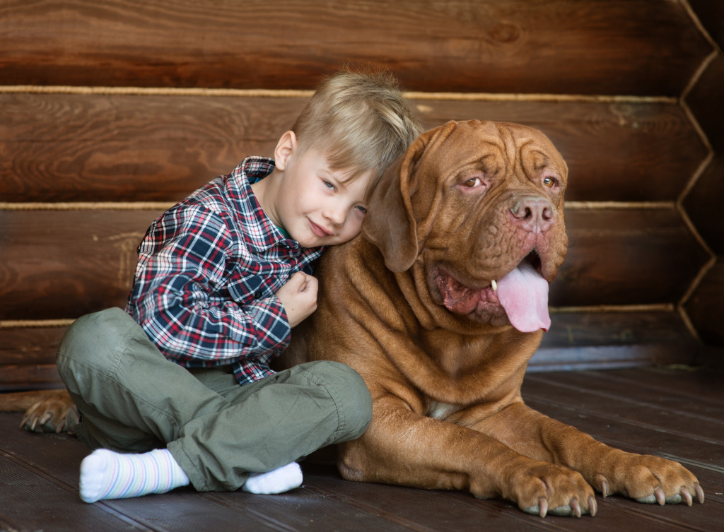 A Boy and His French Mastiff jigsaw puzzle in Puzzle of the Day puzzles on TheJigsawPuzzles.com