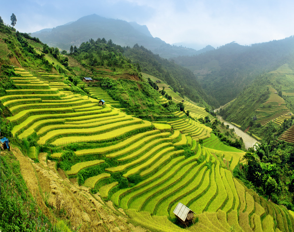 Mu Cang Chai Rice Fields, Vietnam jigsaw puzzle in Great Sightings puzzles on TheJigsawPuzzles.com