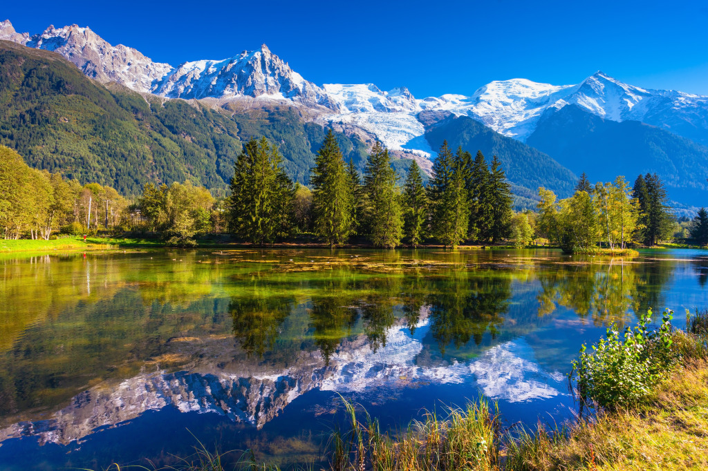 Early Autumn in Chamonix, France jigsaw puzzle in Puzzle of the Day puzzles on TheJigsawPuzzles.com