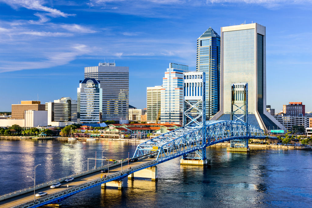 Jacksonville, Florida jigsaw puzzle in Bridges puzzles on TheJigsawPuzzles.com