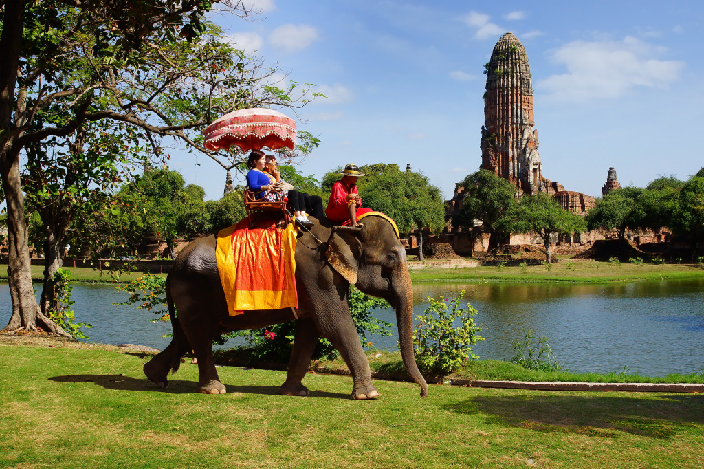 Elephant in Ayutthaya, Thailand jigsaw puzzle in Animals puzzles on TheJigsawPuzzles.com