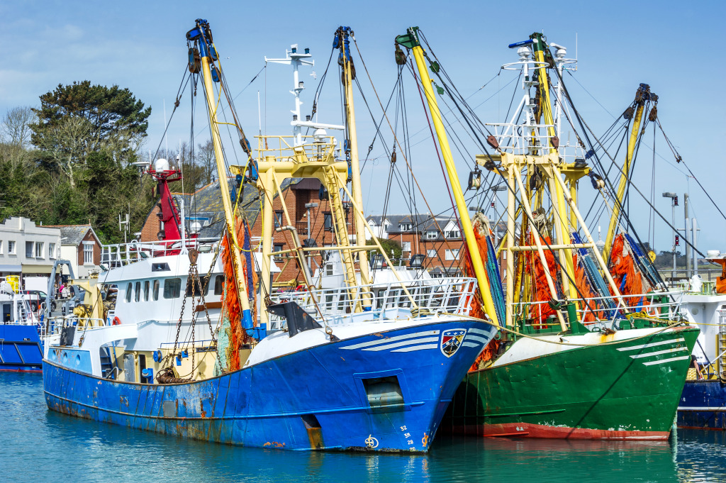 Fishing Trawlers in Cornwall jigsaw puzzle in Puzzle of the Day puzzles on TheJigsawPuzzles.com