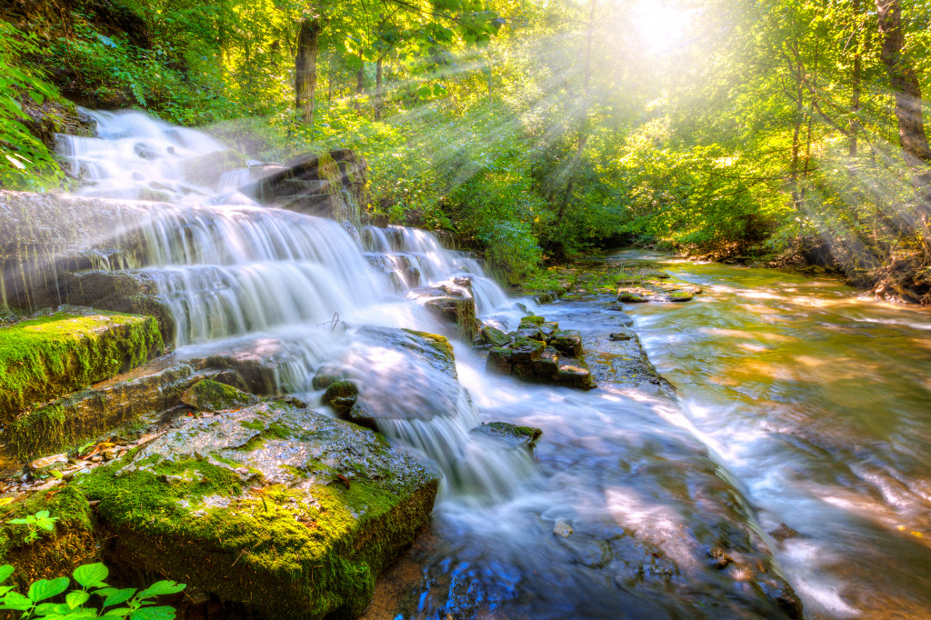 Waterfall in the Forest jigsaw puzzle in Waterfalls puzzles on TheJigsawPuzzles.com